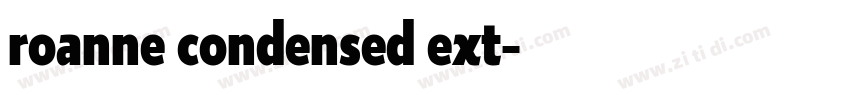 roanne condensed ext字体转换